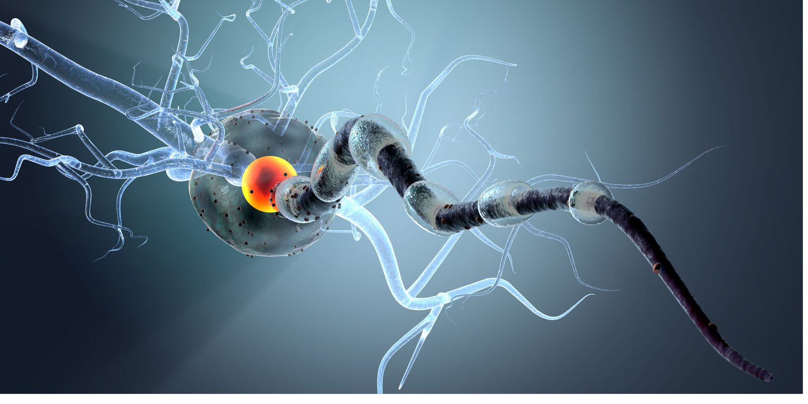 timelinebillboardneuronimage